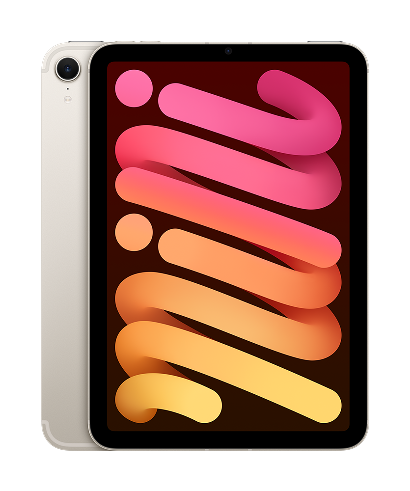 iPad mini